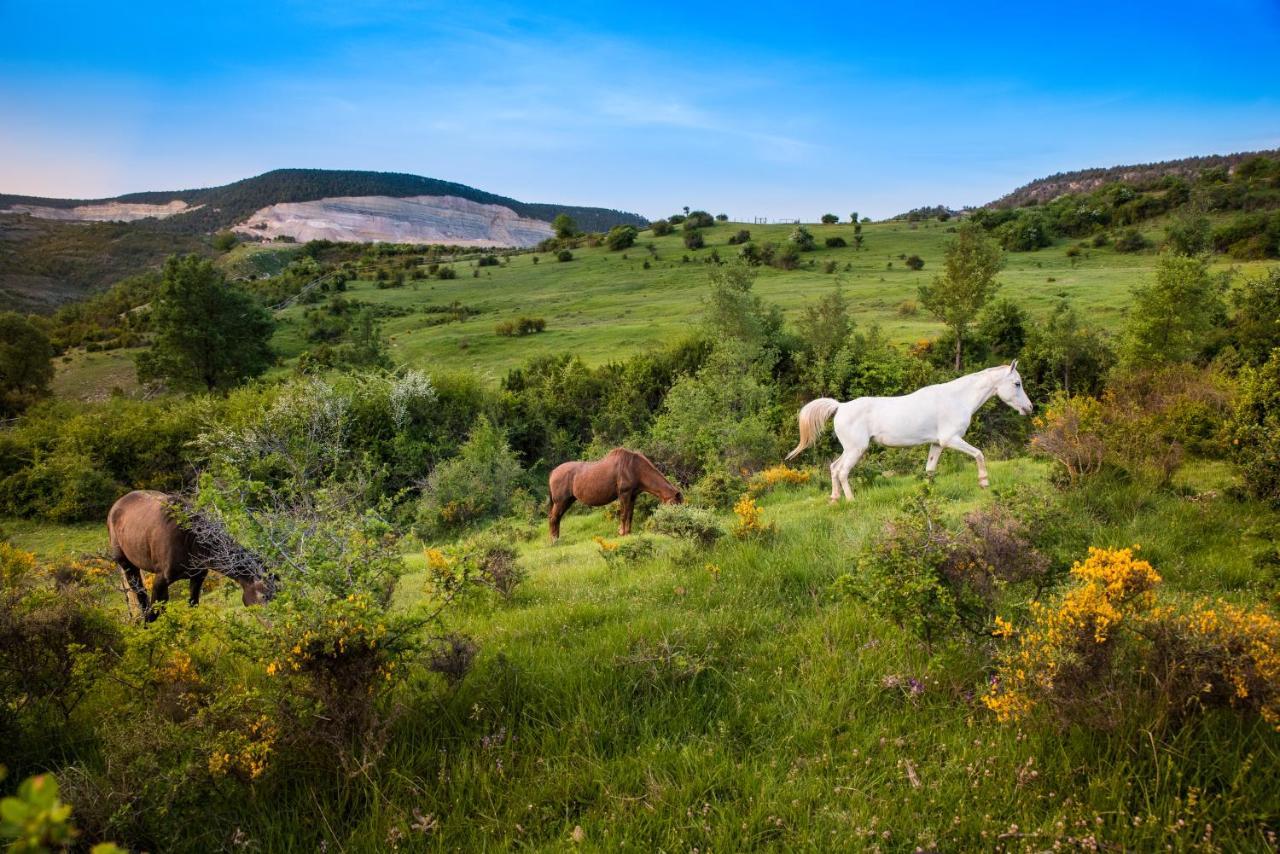 Poveda de la Sierra Hospedaje Rural Casa Parri מראה חיצוני תמונה